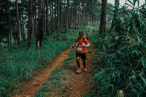 BIB: 
                            <button type="button" onclick="openModal(25658080)" class="btn btn-primary btn-sm float-right btn-popup" data-toggle="modal" data-target=".modal-high-quality">
                        <i class="fas fa-shopping-cart"></i> Add to Cart
                    </button>
                                            <button type="button" onclick="isThisMe(25658080, true)" class="btn btn-success btn-sm float-right btn-popup btn-isme hidden" data-toggle="tooltip" data-placement="bottom" title="นี่คือรูปของคุณใช่ไหม คลิกที่นี่เพื่อเอาเข้าอัลบั้ม">
                        <i class="fas fa-plus"></i> Add to album
                    </button>
                    <button type="button" onclick="isThisMe(25658080, false)" class="btn btn-warning btn-sm float-right btn-popup btn-isnotme hidden">
                        <i class="fas fa-ban"></i> Remove from album
                    </button>